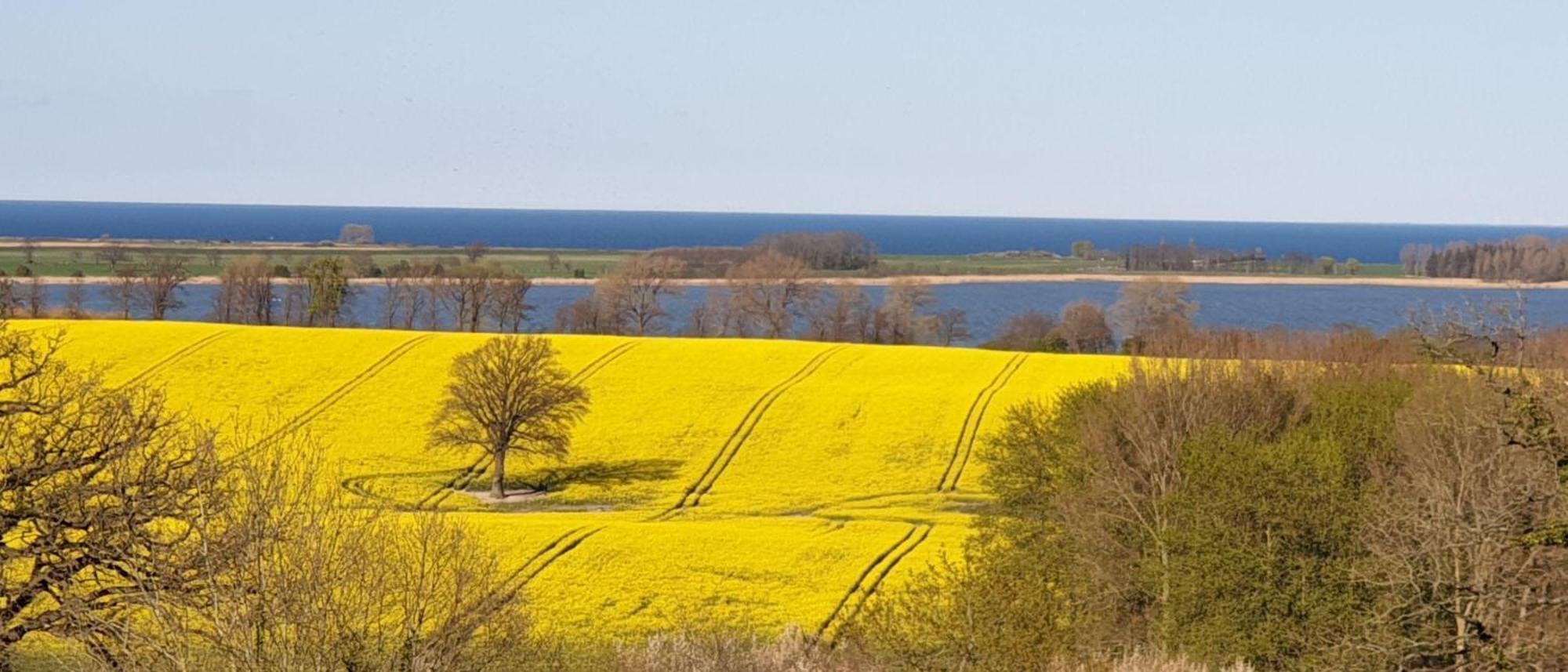 Idyllisches Blockbohlenhaus mit eigenem Garten und Sauna zum Wohlfühlen Martensrade Exterior foto
