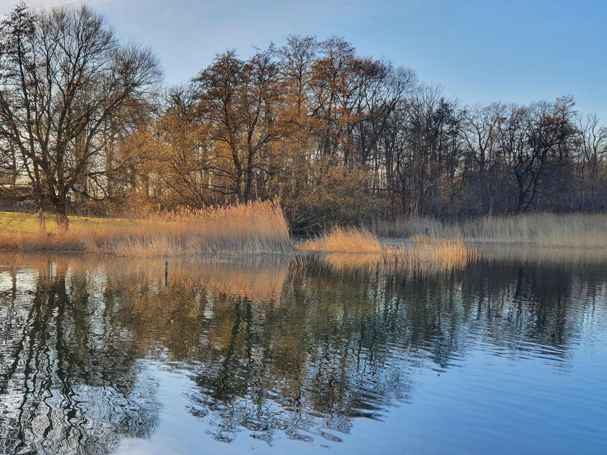 Idyllisches Blockbohlenhaus mit eigenem Garten und Sauna zum Wohlfühlen Martensrade Exterior foto